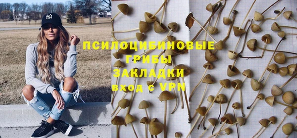 экстази Белокуриха