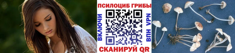 Псилоцибиновые грибы ЛСД  Купить  Енисейск 